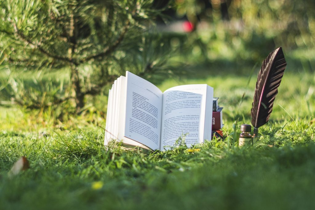 roman et storytelling